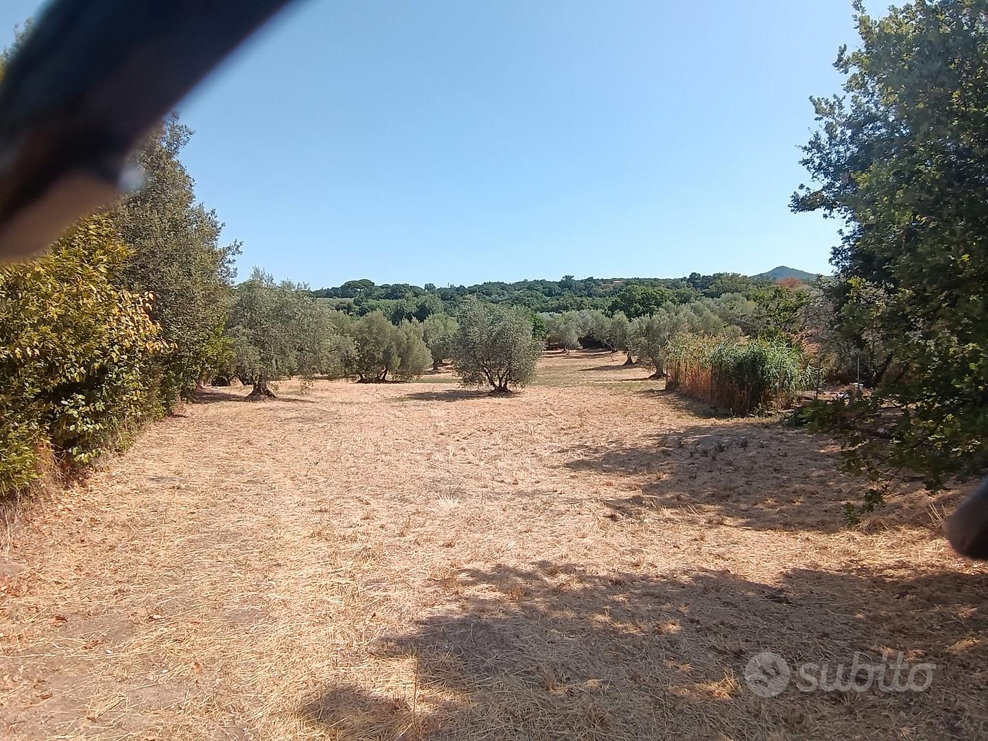 Terreno agricolo Viterbo - Vista 4