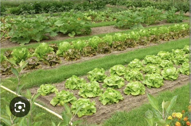 Terreno per agricoltura hobbistica