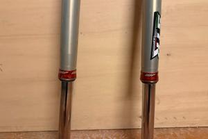 Forcella cone valve  wp