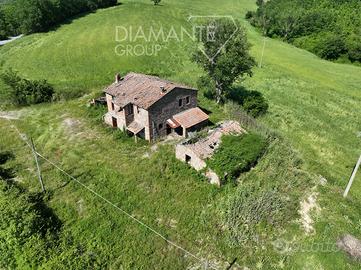 Azienda agricola di 19,6 Ha con casale ed annessi