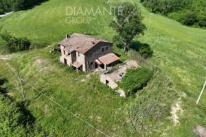 Azienda agricola di 19,6 Ha con casale ed annessi