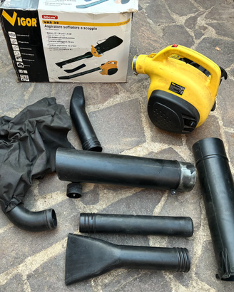 soffiatore ASPIRATORE BIOTRITURATORE VIGOR motore