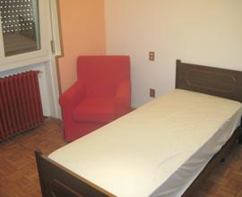 Stanza in appartamento a studentessa