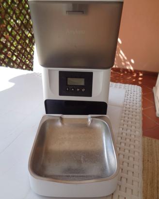 Mangiatoia automatica per gatti