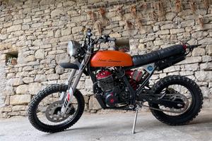 honda dominator