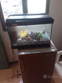 acquario completo