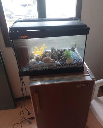 acquario completo