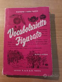 Giannina e Maria Facco Vocabolario Figurato