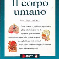 2000 il corpo umano