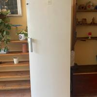 Freezer verticale