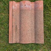 tegole e colmi wierer