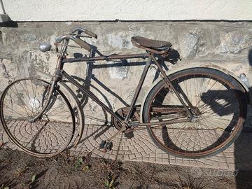 bianchi 