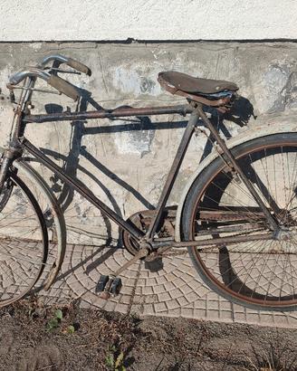 bianchi 