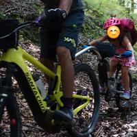 Tout Terrain Streamliner - tag along cammellino