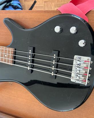 Chitarra Basso Ibanez ed Amplificatore Montarbo