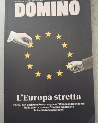 Domino - Rivista sul mondo che cambia.