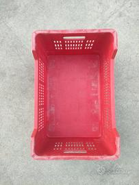 Cassette per raccolta di frutta