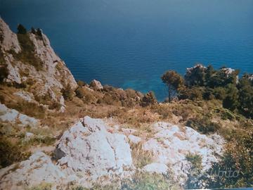 Rudere con Terreno Panoramico