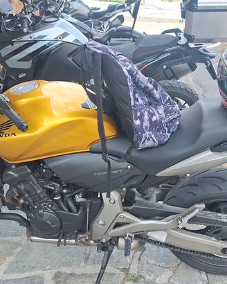 moto hornet 600