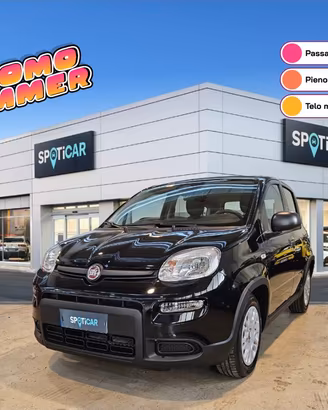 FIAT Panda Serie 7 1.0 70cv HybridPanda