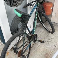 bicicletta