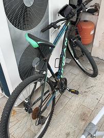 bicicletta