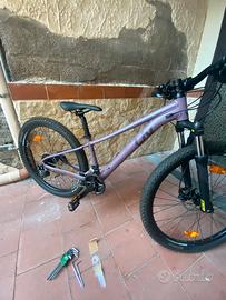 Mtb liv
