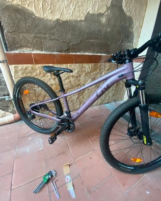 Mtb liv