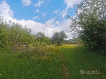 Borgo S Lorenzo colonica fienile terreno 8 ha