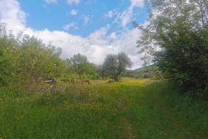 Borgo S Lorenzo colonica fienile terreno 8 ha