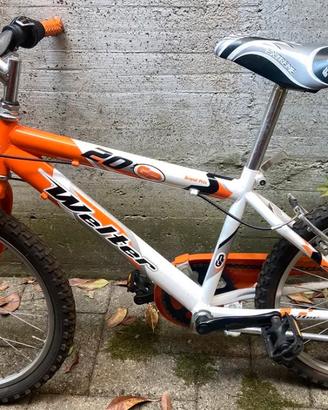 Bicicletta da bambino