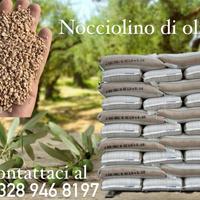 Nocciolino Bianco