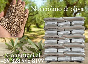 Nocciolino Bianco