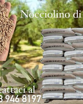 Nocciolino Bianco