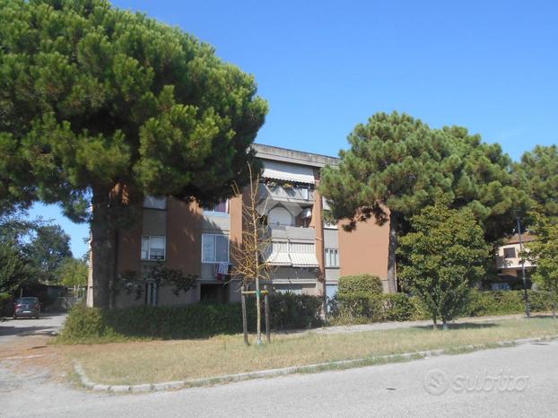 5 LOCALI A COMACCHIO