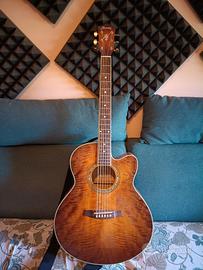Chitarra Acustica Ibanez + Custodia