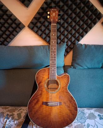Chitarra Acustica Ibanez + Custodia
