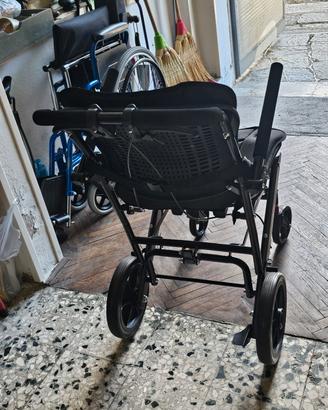 carrello invalidi