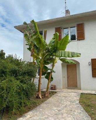 Casa singola vista mare con giardino e bosco