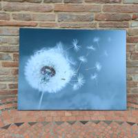 Canvas quadro su tela Soffione