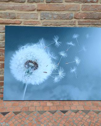 Canvas quadro su tela Soffione