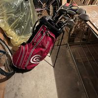 mazze da golf con sacca e palline 