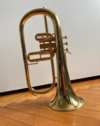 Flicorno B&S