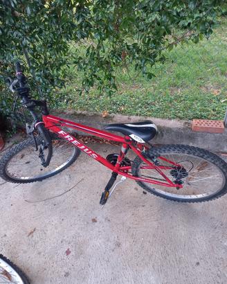 mtb ragazzo