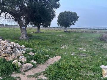 Terreno Agricolo Pulsano [Cod. rif 3222322VCG]