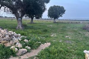 Terreno Agricolo Pulsano [Cod. rif 3222322VCG]