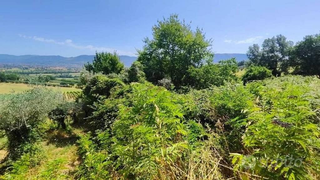 Immobile in asta di 5390 m² a Montefalco - Vista 2