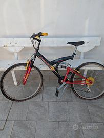 Bicicletta