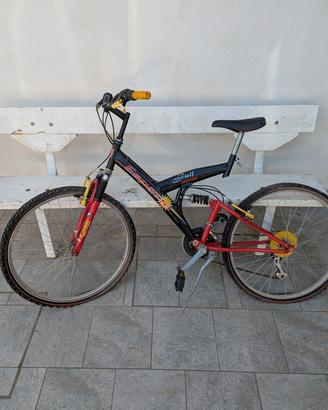 Bicicletta