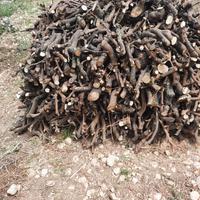 legna di arancio e di ulivo